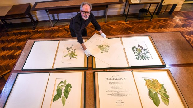 Des Cowley with some of the prints made from copper plates using Sydney Parkinson's drawings.