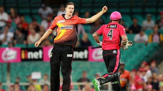 Jason Behrendorff of the Scorchers celebrates taking the wicket of Doug Bollinger of the Sixers last month,