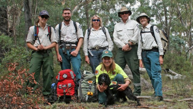 Joint NSW National Parks and Wildlife Service and ACT Parks and Conservation hawkweed search team. 