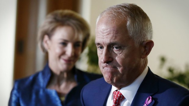Senator Michaelia Cash and Prime Minister Malcolm Turnbull have been each sued over comments they made about Clive Palmer.