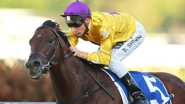 In a good place: Blake Shinn and Pornichet will tackle Saturday's Chelmsford Stakes.