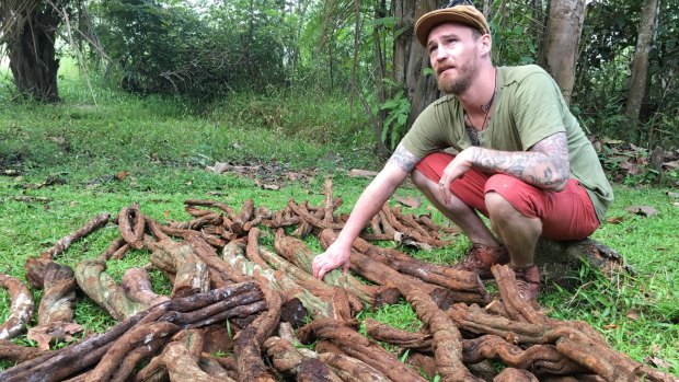 British child-actor-turned-ayahuasca-shaman Freddie Findlay.