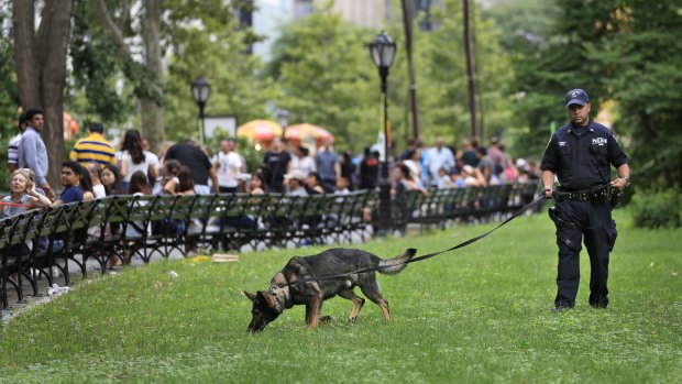 A bomb-sniffing dog works near the scene of an explosion in Central Park, New York.