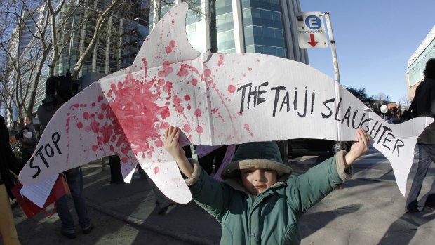 A child protests the Taiji hunt. 