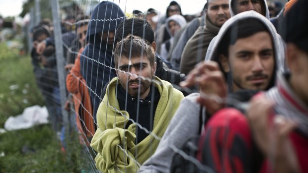 Migrants and refugees wait in line to board a bus organised by the Austrian government in Hegyeshalom, Hungary, at the weekend.