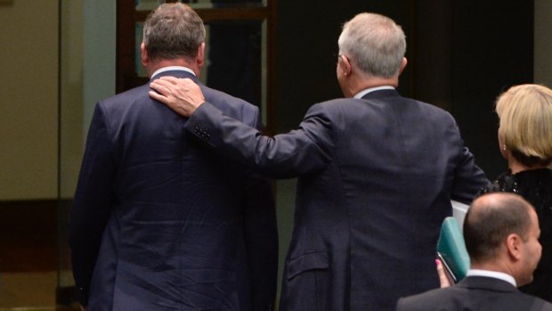 Shoulder to shoulder: Malcolm Turnbull (right) and Barnaby Joyce.