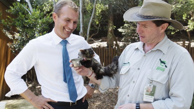 NSW Environment Minister Rob Stokes at Taronga Zoo.