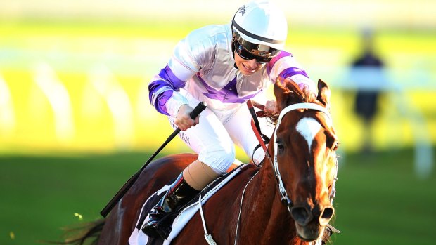 Settling influence: After a rocky start, Hurrara has benfitted from a partnership with jockey Claire Nutman.