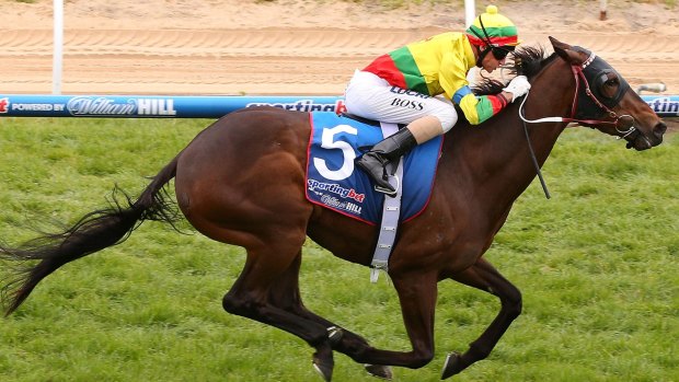 Glen Boss guides Lucky Hussler home in the Moonga Stakes on Saturday.