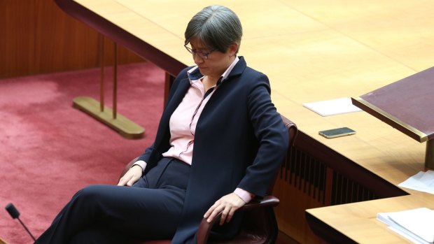 Labor senator Penny Wong delivered an emotional speech on same-sex marriage in the Senate.