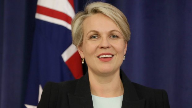 Tanya Plibersek wrote the Government had told the Fair Work Commission that "the minimum wage should be frozen".