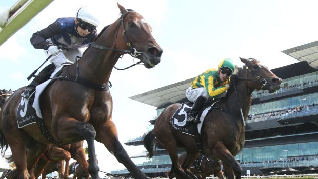 So close: Untamed Diamond (right) just edges out Jason Coyle’s Sweet Serendipity at Randwick. 