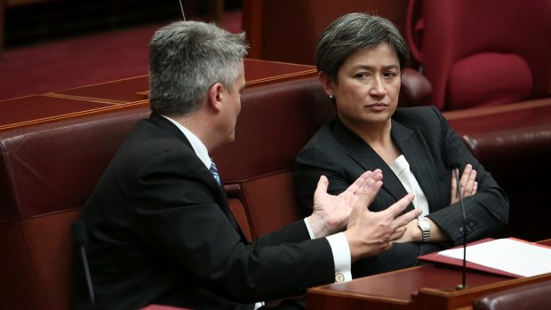 Mathias Cormann is offering to pass a law to enshrine legal protections for the postal survey.