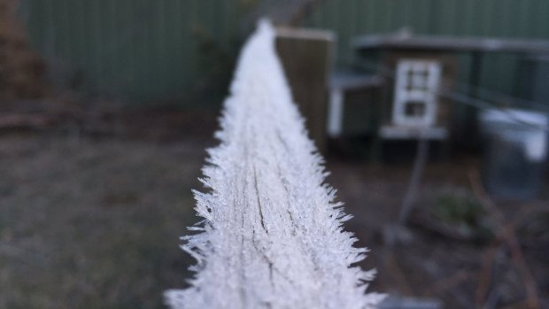 Canberrans woke up to a frosted city on Saturday.