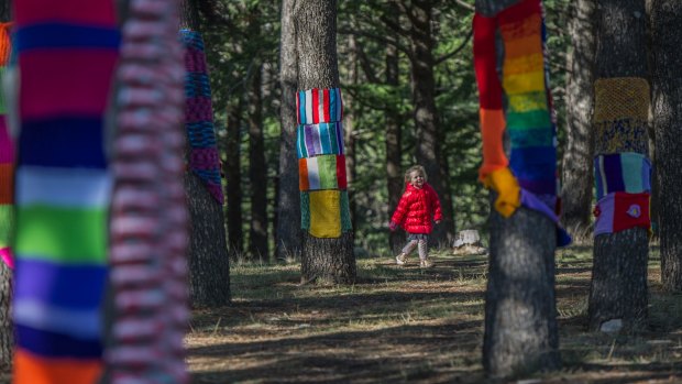 Hundreds of volunteers created knitted goods for the 'Warm Trees' installation.