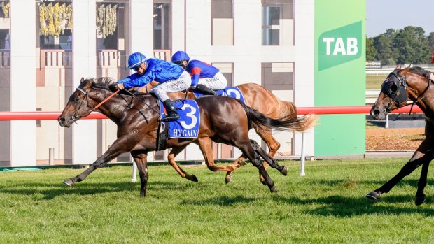 Encryption reels in Sizzling Belle at the finish to salute in the 2018 Black Opal Stakes. 