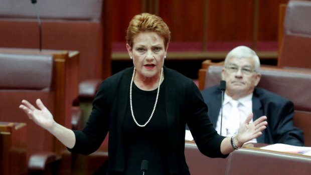Senator Pauline Hanson's political stocks are rising.