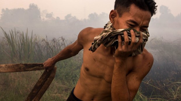 A firefighter holds a water pipe on burned peatland and fields at Sungai Rambutan village, South Sumatra.