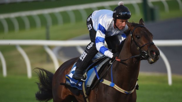 Focus: champion hoop Glen Boss is chasing a fourth Cox Plate.