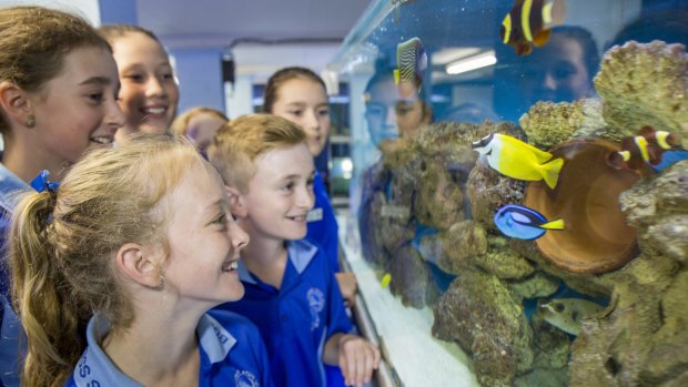 Students from Belgian Gardens State School at their Reef BG Aquarium.
