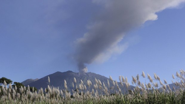 Flights in and out of Bali have been disrupted by a volcanic ash cloud.