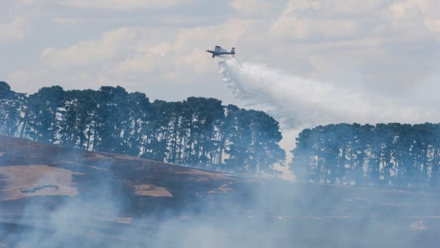 Two waterbombing planes and 11 other aircraft are fighting the Tarago blaze, which is threatening homes.
