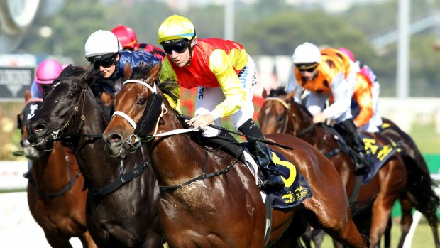 Mature ride: Tommy Berry (yellow cap) rides New Universe to victory at Rosehill Gardens.