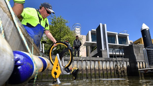 An oBike is pulled from the Yarra River on Monday.