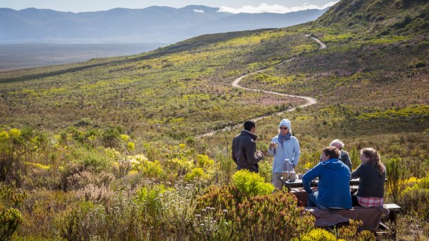Grootbos is the most diverse flower kingdom on the planet.