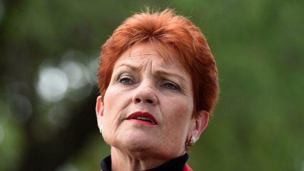 Pauline Hanson speaks in Brisbane on Monday.