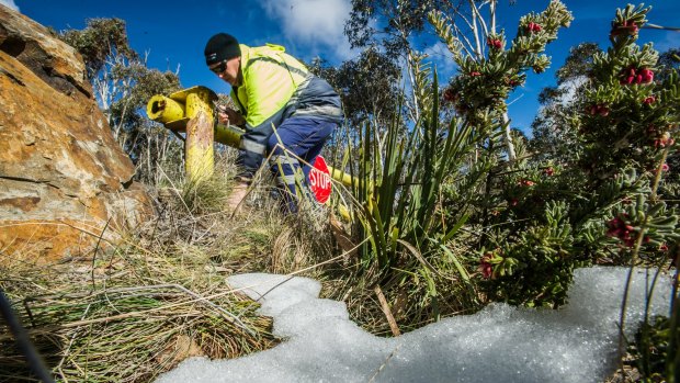 Transport Canberra and City Services? Project Officer Adam Melville looks after icy or snow affected roads in the Namadgi National Park area (near the Mount Franklin chalet site).