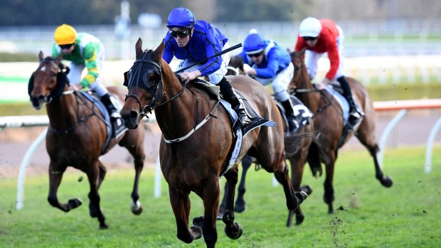 Epsom favourite: Happy Clapper to winning last month's Tramway Stakes.