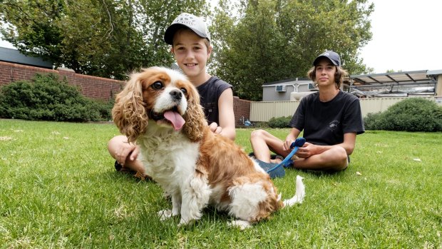 Sam Ryan and Angus with their dog Daisy at the Lost Dog Home in North Melbourne.