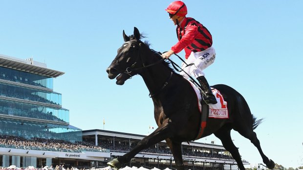 Back to Melbourne: Prized Icon wins the Victoria Derby in the spring and will return to Flemington for Saturday's Australian Guineas.