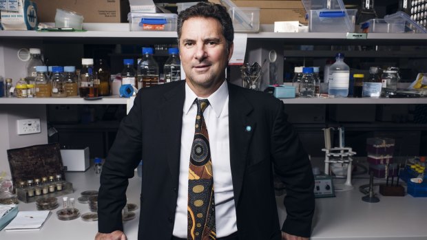 Dr Marshall believes the CSIRO is on to a winner with its research into what causes obesity.