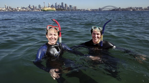 Snorkellers: From left, Dr Katherine (Kate) Dafforn and Mariana Mayer-Pinto in Sydney Harbour where they drop GoPro cameras to study fish habitats.
