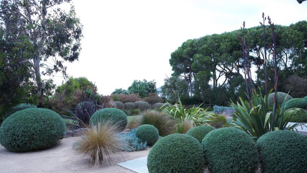 Melbourne-based Fiona Brockoff contrasts clipped native plants with more free-flowing forms.
