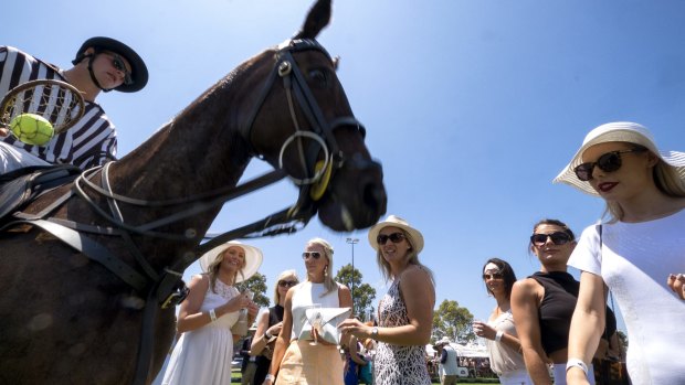 Beauties and a beast at Saturday's Polo In The City in Albert Park. 