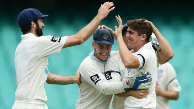 Back in the middle: NSW fast bowler Sean Abbott celebrates with teammates after taking the wicket of Queensland's Nathan Reardon in the Sheffield Shield match at the SCG.
