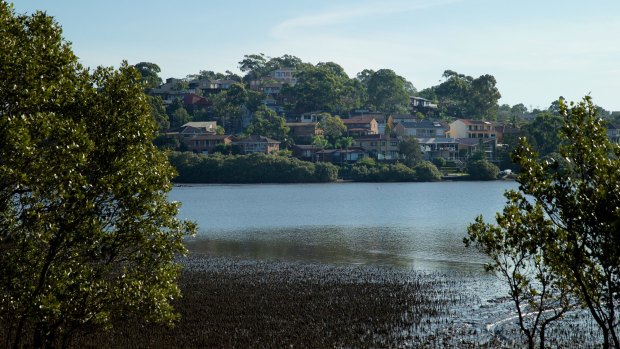 Serene and toxic: High levels of pollutants have been found in Oyster Bay sediments.