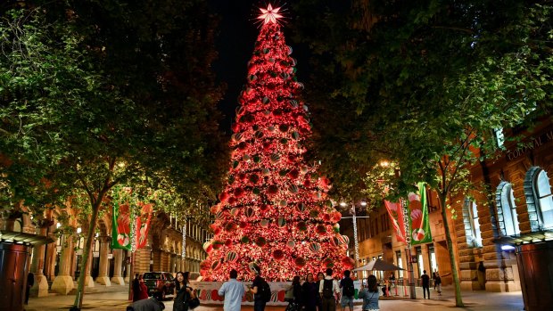 Martin Place Christmas tree lights up. 