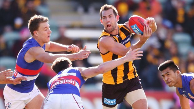 Luke Hodge put in a masterful performance.