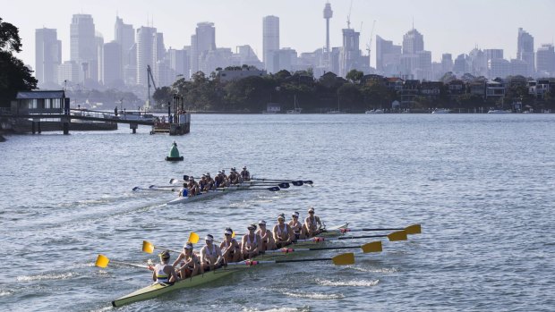  Southern comfort: Melbourne won the women’s race to retain the Bella Guerin Trophy. 