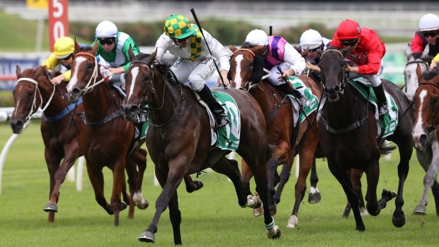 Dominant: Tye Angland rides Adrift to victory in the Light Fingers Stakes at Randwick.