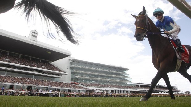 Admire Rakti finishes last in Tuesday's Melbourne Cup. The horse collapsed and died shortly thereafter.