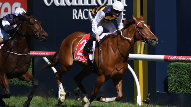 Gailo Chop, with Mark Zahra aboard, claimed the Caulfield Stakes. 