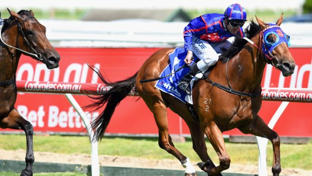 Brad Rawiller guides Mahuta to victory in the Autumn Stakes.