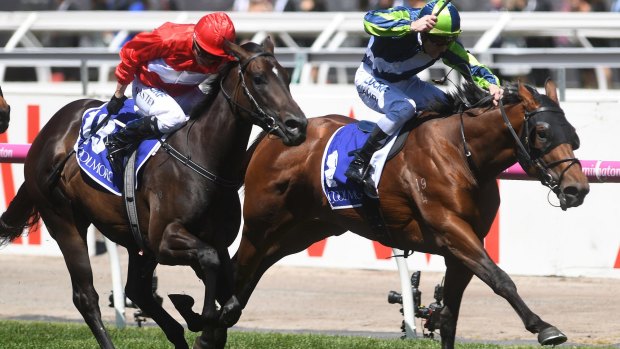 Son of a gun: Merchant Navy has been sold for more than $30 million after winning the Coolmore Stud Stakes. 