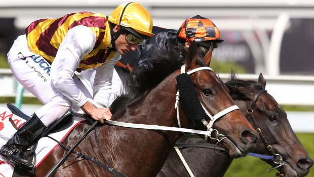 Damien Oliver guides Preferment (left) to victory in the Victoria Derby last year.