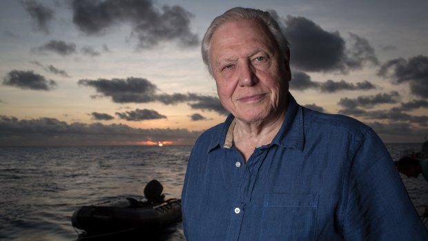Sir David Attenborough  embarked on the expedition to the southern hinterlands of the Sepik River in Papua New Guinea in 1971.